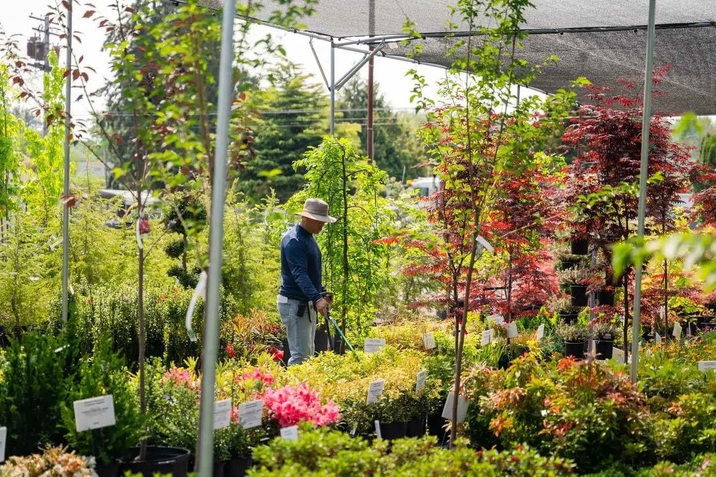 Plant Nursery Mount Vernon WA