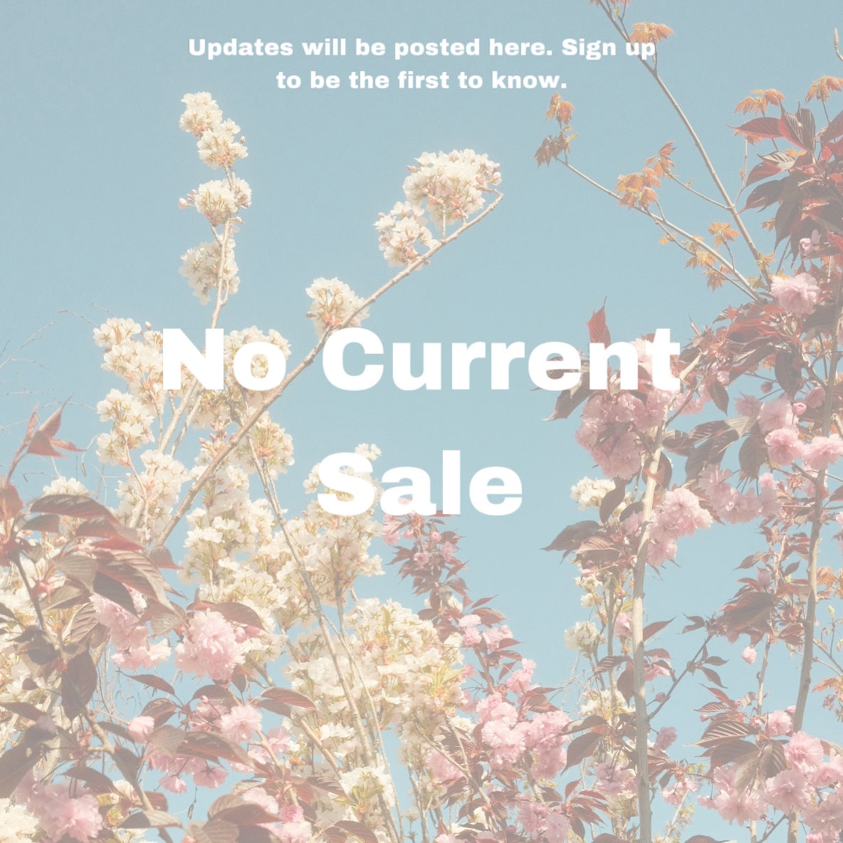 No Current Sale Post